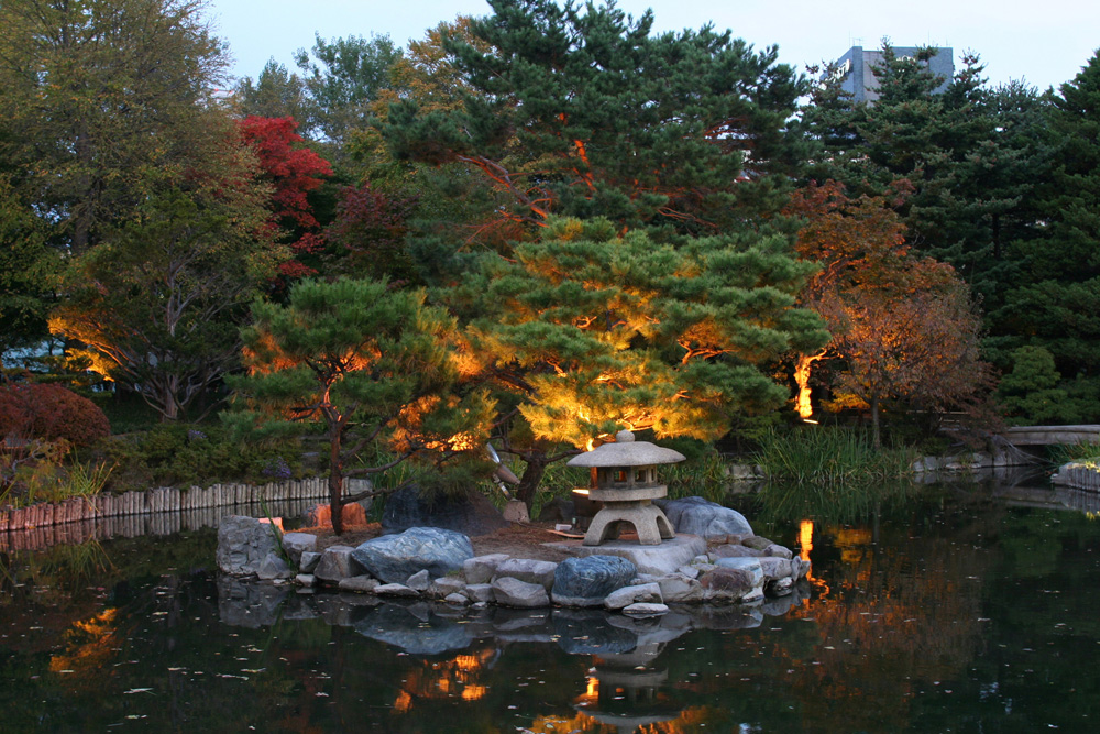 中島公園の紅葉ライトアップで秋の夜を彩ろう！