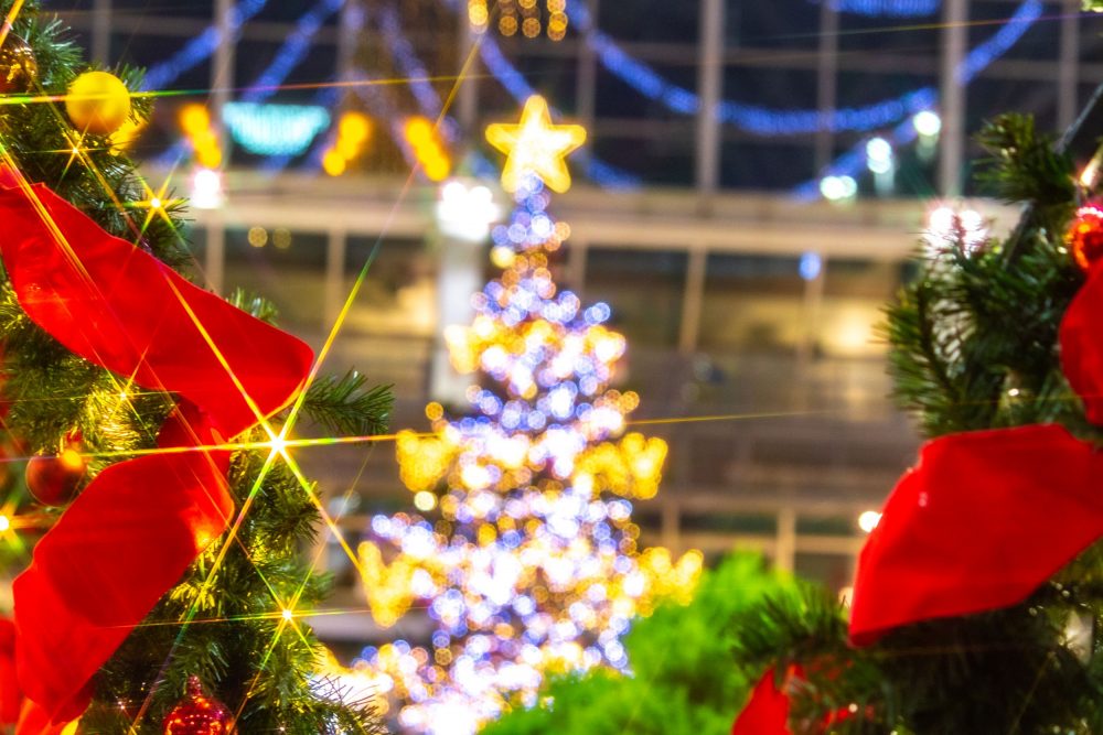 🇯🇵 サッポロファクトリーのジャンボクリスマスツリー2025